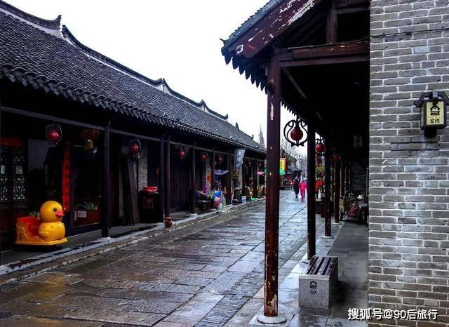 拯救机灵鸟